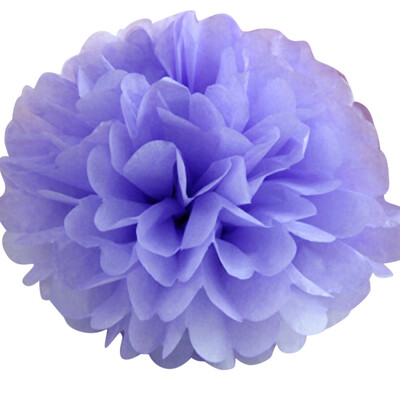 

Toponeto 30cm Tissue Paper Pompoms Pom Poms Flower Balls Fluffy Wedding Party Decoration