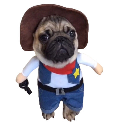 

Style Cute Pet Cat Clothes Costume Clothes For Small Cat Coats Jackets Spring Autumn Warm Cat Puppy Outfit Cotton