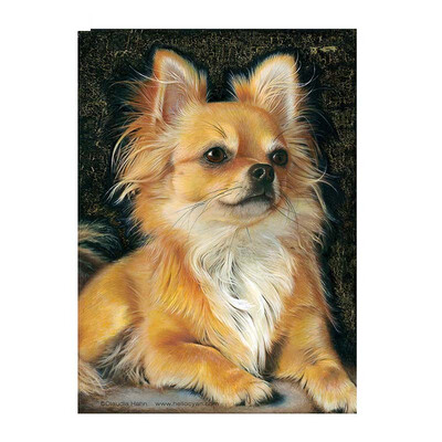 

Diamond Painting Dog Full Square Diamond Embroidery Cross Stitch Animal Needlework Diamond Mosaic Rhinestones Home Decor