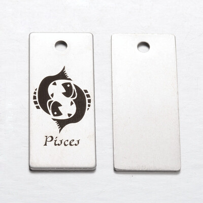 

Spray Painted Stainless Steel Pendants Rectangle with Twelve ConstellationZodiac Signs Pisces 38x16x1mm Hole 3mm