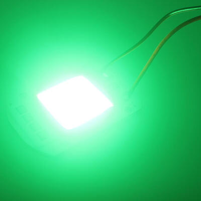 

Plant Grow LightLED COB Grow Chips Smart Driver 50W 220V For LED Flood Light High Voltage High Efficiency Source Full Spectrum