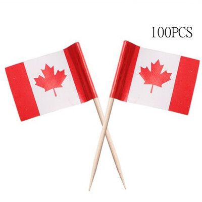 

Toponeto 100Pcs Flag Picks for Sandwiches Appetizers Cupcake Toppers