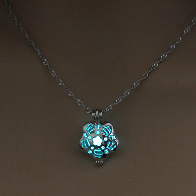 

1PC New Skull Glow In The Dark Chaming Luminous Horse Heart Owl Charm Women Jewelry Fashion Pendant Necklace