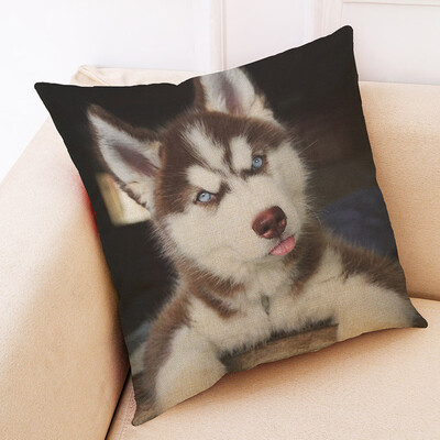 

〖Follure〗Cute Animal Pillow Cover Throw Pillow Case Sofa Cushion Cover Home Decor 18