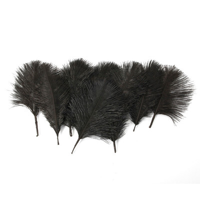

10-pieces Lots Black Natural Ostrich Feathers 4-6"10-15cm for Home Wedding Party DÃ©cor