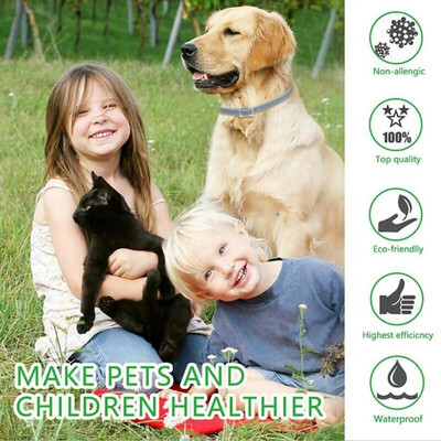 

Pet Flea Lice Cleaner Comb Electric Dog Flea Cleaning Brush Pets Supplies