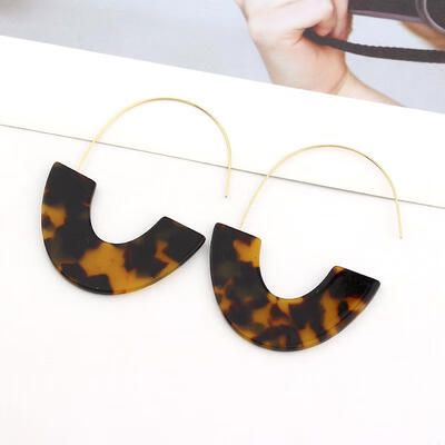 

Hot Sale Fashion Leopard Print Big Hook Earrings Special Design Bohemian Semicircle Resin Dangle Drop Earrings For Women Brincos
