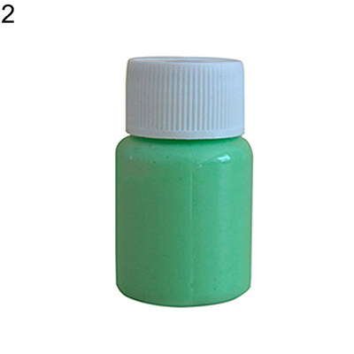 

20g 12 Colors Glow in Dark Luminous Paint Pigment DIY Handmade Painting Tool