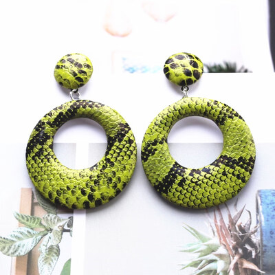 

EK625 2019 New Big Round Drop Earrings for Women Punk Vintage Oversize Big Statement Earrings Snake Skin Party Jewelry Oorbellen