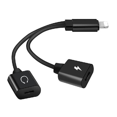 

Mini Lightning Splitter Adapter Audio AUX Converter Adapter with Dual Lightning Ports Headphone Jack Charging Port for iPhone X 7