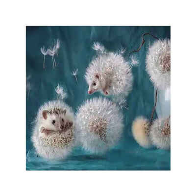 

Cute Lovely Hedgehog 5D Handmade Embroidery Cross Stitch Full Drill DIY Diamond Rhinestone Painting Decor