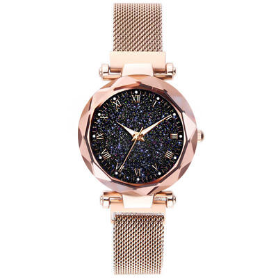 

Roman Number Starry Sky Watch For Women Luxury Brand Megnet Mesh Band Stainless Steel Quartz Wristwatch Ladies Elegant Watches