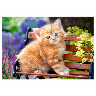 

5D DIY Full Drill Diamond Painting Sitting Cat Cross Stitch Embroidery Kits