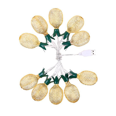 

Decorative Light String with Cute Appearance USB 10LEDs Fairy Lamp for Bedroom Party