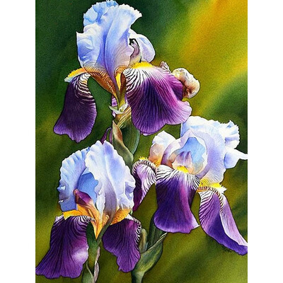 

kirin shwo 5d Diamond Painting New Arrivals Pictures Of Rhinestones New Diamond Embroidery Flowers Diamond Mosaic Full Display