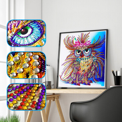 

Siaonvr Special Shaped Diamond Painting DIY 5D Partial Drill Cross Stitch Kits Crystal R