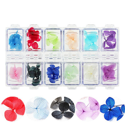 

〖Follure〗Nail Art Decoration Color Petal Dried Flower Nail Phototherapy Decoration Stick