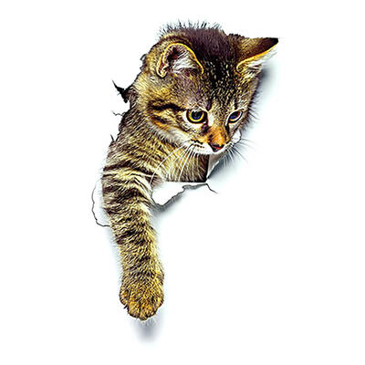 

3D Cute Cat PVC Waterproof Self-Adhesive Wall Stickers DIY Removable Decals