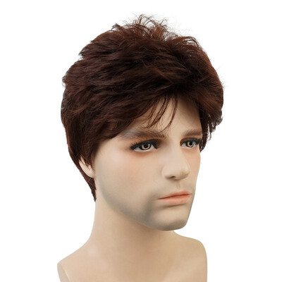 

StrongBeauty Manly Short Brown Mixed Blonde Fluffy Straight Full Bang Capless Heat Resistant Fiber Wig For Men COLOUR CHOICES