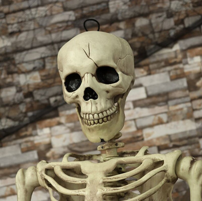 

Halloween Party Decoration Poseable 3812CM Human Skull Skeleton Anatomical