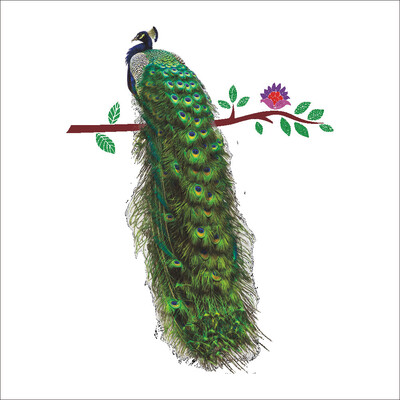 

Wall Sticker Peacock TV Background Bedroom Removable Home Decoration 3090cm