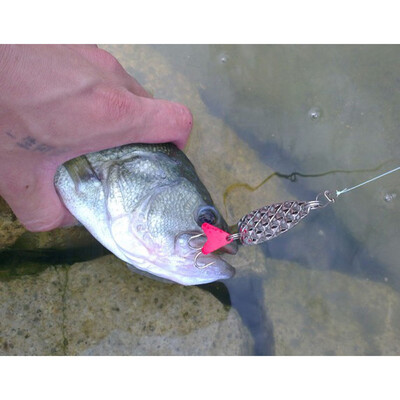 

Saidsome 2PCMetal Alloy Hard Lure With Sound Slice Wobbler CarpFishingTackle SpinnerGear fishing bait fishing lure