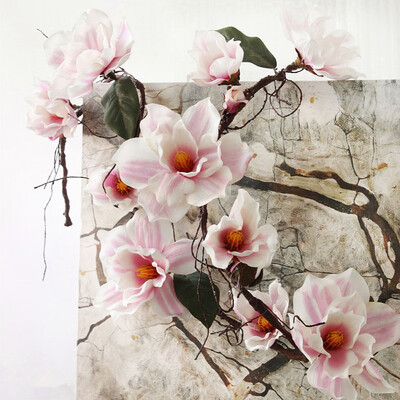 

Artificial Rattan Vine Home ArchDoor Decoration 3 Meters Vintage Style Magnolia