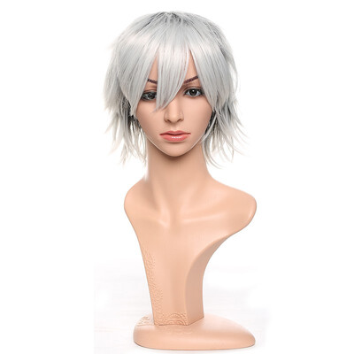 

Short Cosplay Wig Women Men Fluffy Straight Anime Comic Hairstyle Party Costume Dress Synthetic Hair Pixie Wigs