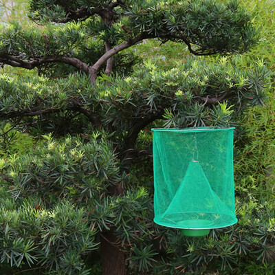 

〖Follure〗The Ultimate Red Drosophila Fly Trap Device Top Catcher Fly Wasp Insect Trapping