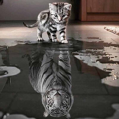 

3030 cm DIY 5D Diamond Cat Pattern Painting Kit Mosaic Embroidery Cross Stitch Craft Home Wall Decor