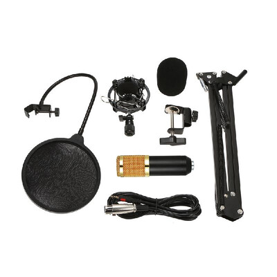 

Professional Studio Broadcasting Recording Condenser Microphone