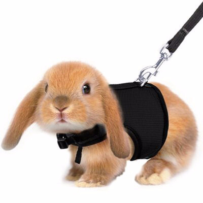 

Soft Rabbits Harness with Leash