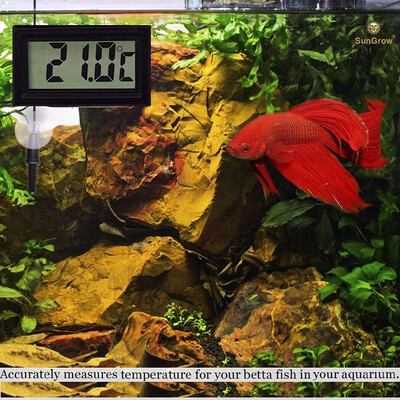 

Outdoor Thermometer by Accurately Reads Tank Water Temperature