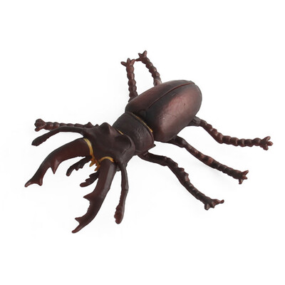 

Tailored Simulation Insect Animal Display Sand Table Scene Science Educated Cognition Toy