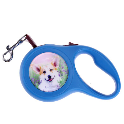 

ABS High-Grade Durable 3 Meter Automatic Retractable Traction Rope