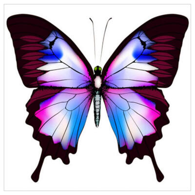 

5D DIY Full Drill Diamond Painting Butterfly Cross Stitch Embroidery Mosaic