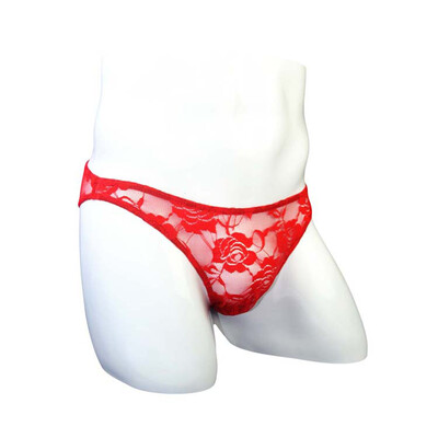 

Men Briefs Sexy Low-rise Mesh See-through Underwear G-string Underpants
