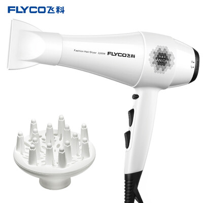 

FLYCO hair salon professional hair dryer FH6105 high power hair dryer negative ion 2200W