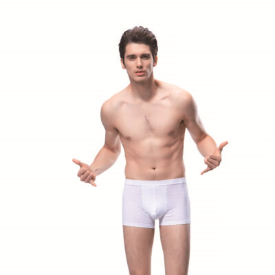 

XUE ZHU Authentic Mens Modal Bleed Boxer Shorts 13250