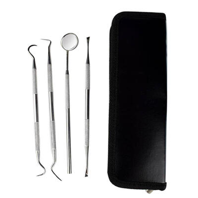 

4pcsset Stainless Steel Oral Hygiene Examination Dental Instruments Tools