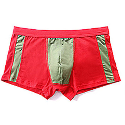 

Mens Boxer Shorts Sheer Mesh See Through Trunks Pouch Briefs Underwear Swimwear