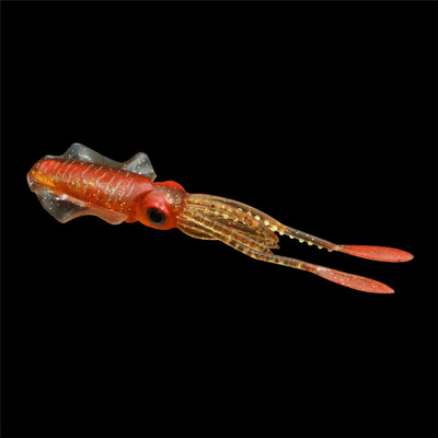 

New Hot Fishing Soft Lure Vivid squid-shaped fishing bait silicone reusable bait fishing lure Vivid squid-shaped