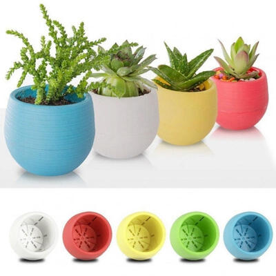 

Mini Colorful Flower Planter Pot Round Plastic Garden Office Decor Succulents