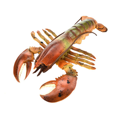 

〖Follure〗Simulation Model Of LobsterKids Early Education Play ToyKitchen Decoration