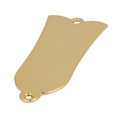 

Guitar Truss Rod Cover 3 Hole Fits Epiphone Les Paul LP