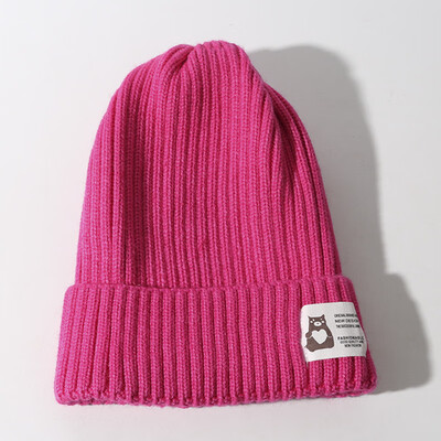 

Hat Womens autumn&winter ins wool hat Japanese cute net red knitted hat Korean version versatile casual mens cold hat