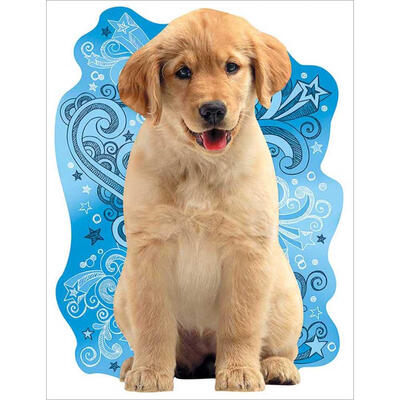 

5D DIY Full Drill Diamond Painting Cross Stitch Embroidery Kit Wall Art