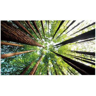 

〖Follure〗Bedside Background Bedroom PVC Waterproof Wall Decoration Removable Stickers