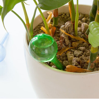 

〖Follure〗Automatic Watering Device Houseplant Plant Pot Bulb Globe Garden House Waterer A