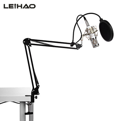 

LEIHAO BM - 800 Professional Condenser Microphone Studio Broadcasting Recording